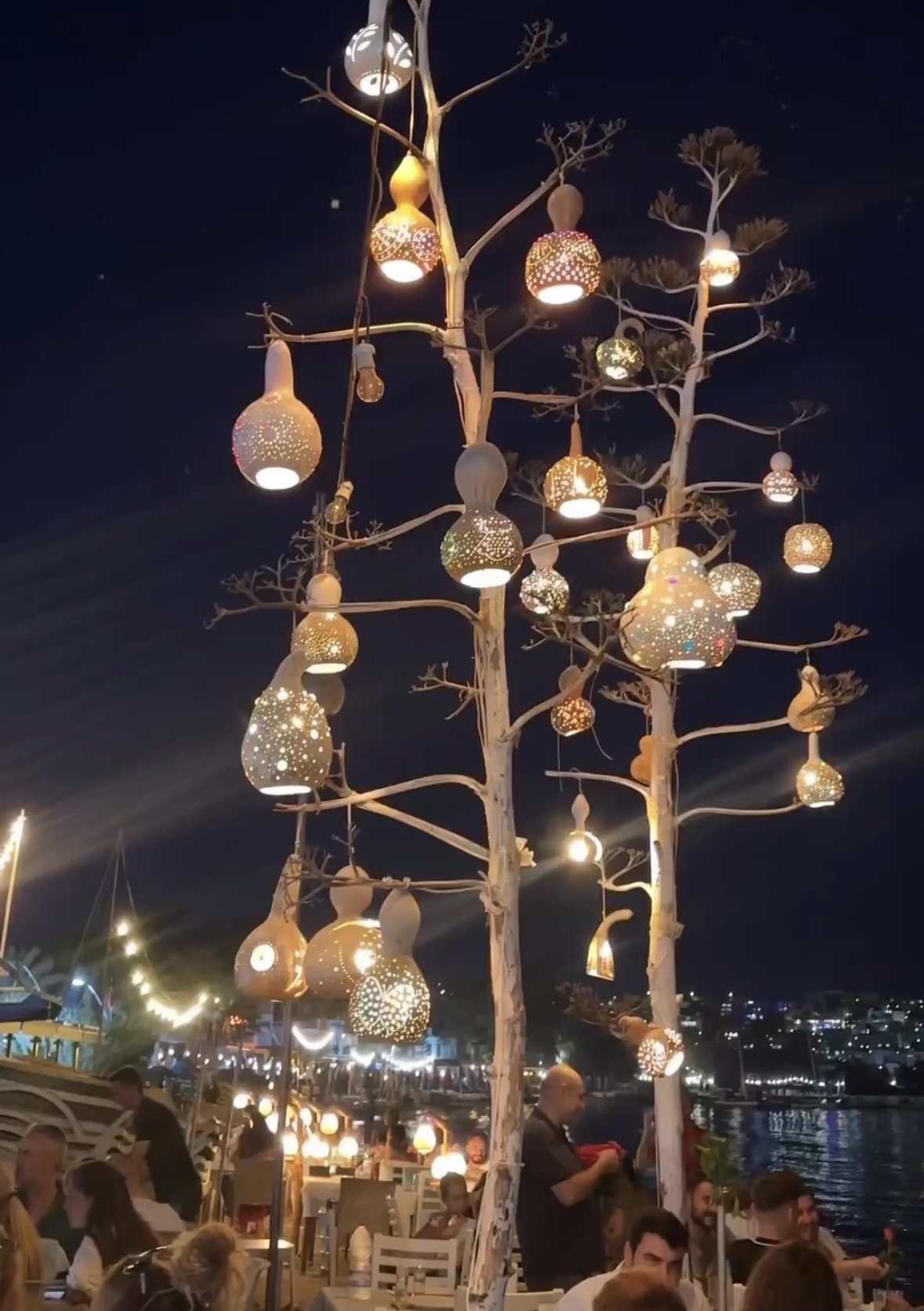 Aqua Bitez Restaurant 2 IMG 5743